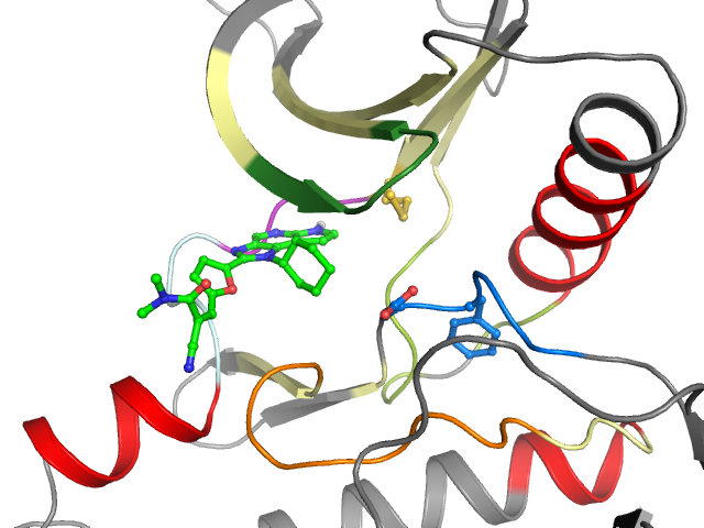 The orthosteric binding pocket