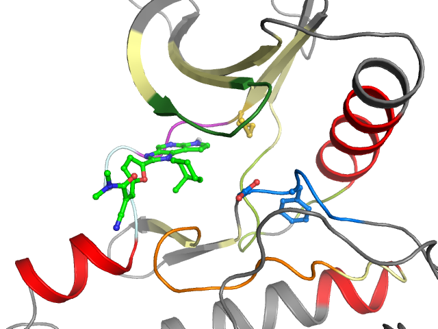 The orthosteric binding pocket