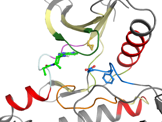 The orthosteric binding pocket