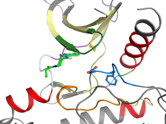The orthosteric binding pocket