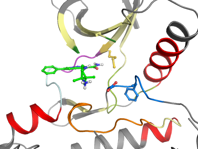 The orthosteric binding pocket