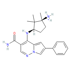 2D structure of the orthosteric ligand