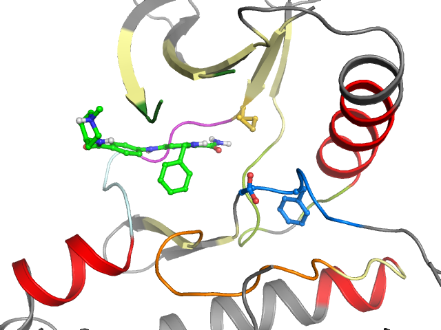 The orthosteric binding pocket