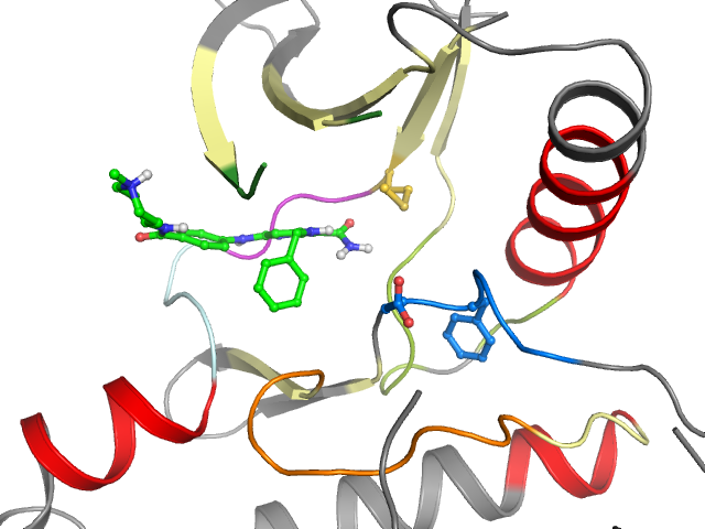 The orthosteric binding pocket