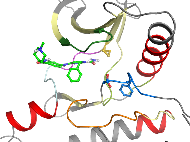 The orthosteric binding pocket
