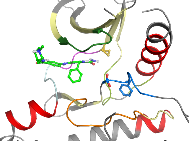 The orthosteric binding pocket