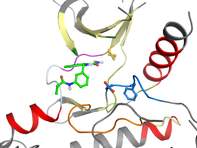 The orthosteric binding pocket