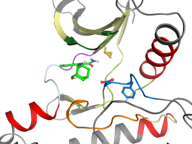 The orthosteric binding pocket