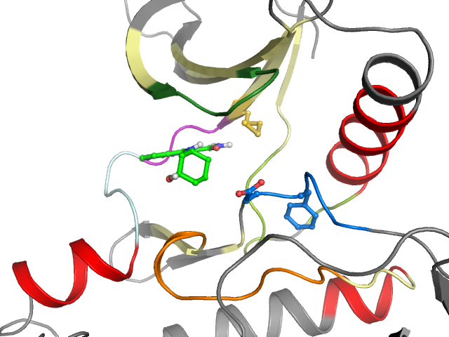 The orthosteric binding pocket