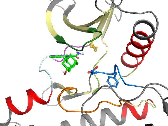 The orthosteric binding pocket