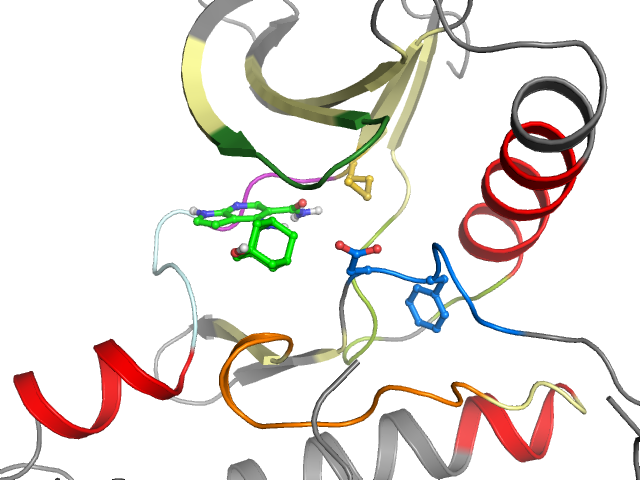 The orthosteric binding pocket