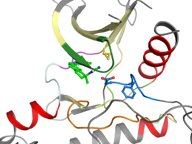 The orthosteric binding pocket