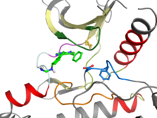 The orthosteric binding pocket