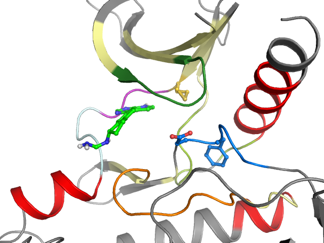 The orthosteric binding pocket