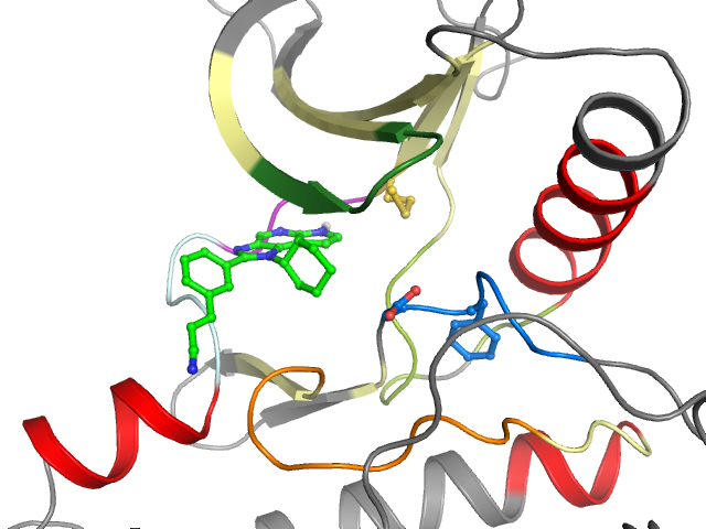 The orthosteric binding pocket