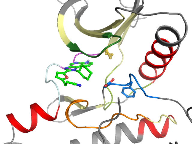The orthosteric binding pocket