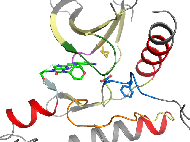 The orthosteric binding pocket
