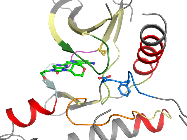 The orthosteric binding pocket