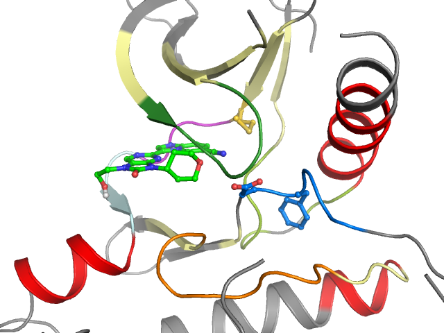 The orthosteric binding pocket