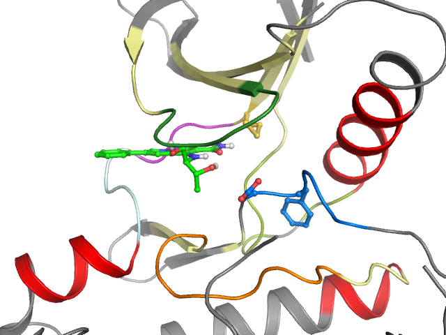 The orthosteric binding pocket