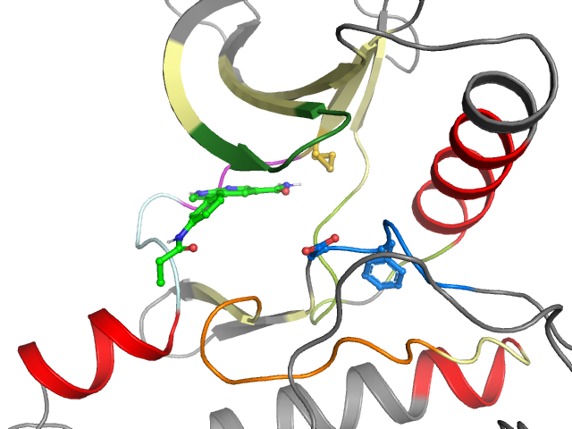 The orthosteric binding pocket