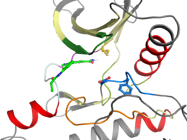 The orthosteric binding pocket
