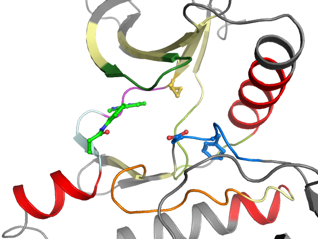 The orthosteric binding pocket