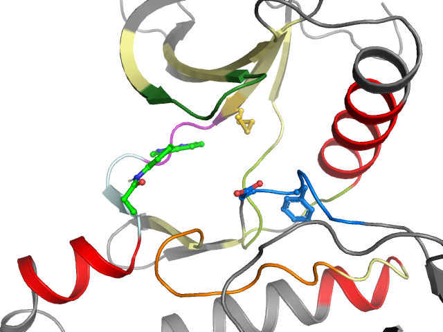 The orthosteric binding pocket