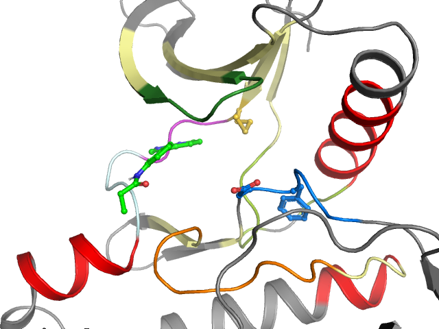 The orthosteric binding pocket