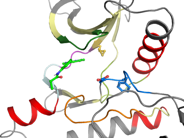 The orthosteric binding pocket