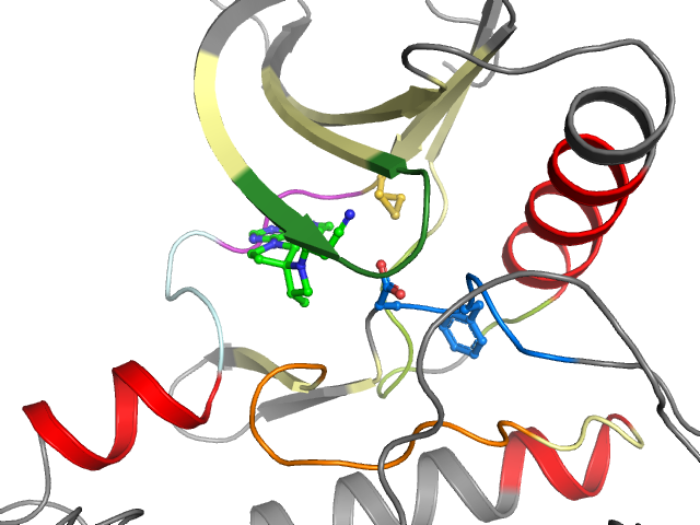 The orthosteric binding pocket