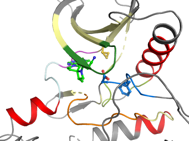 The orthosteric binding pocket