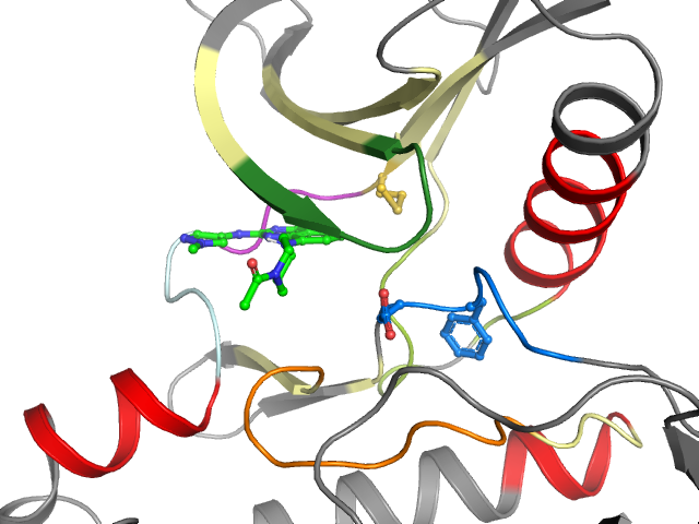 The orthosteric binding pocket