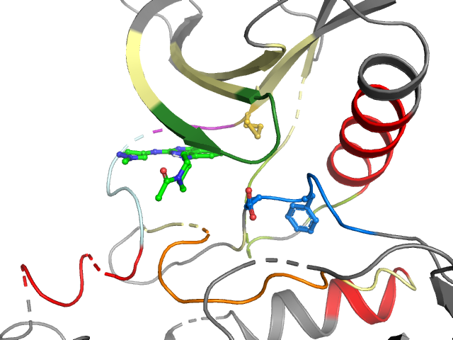 The orthosteric binding pocket
