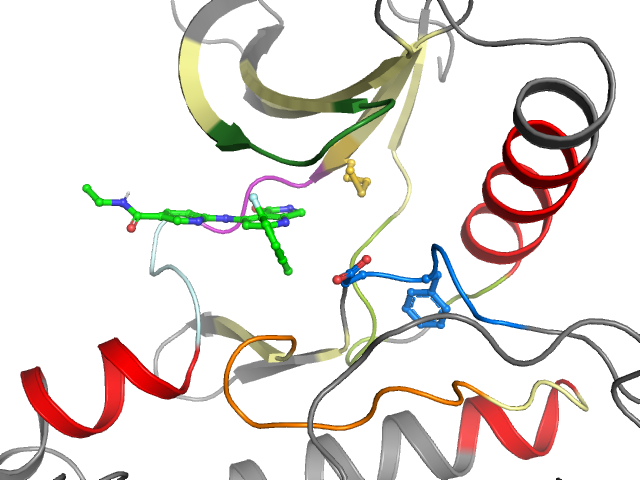 The orthosteric binding pocket