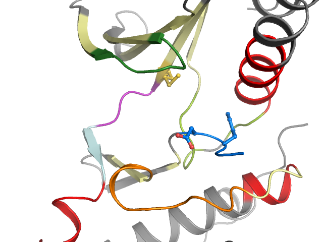 The orthosteric binding pocket