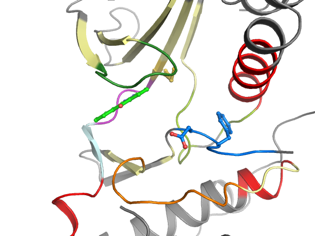 The orthosteric binding pocket