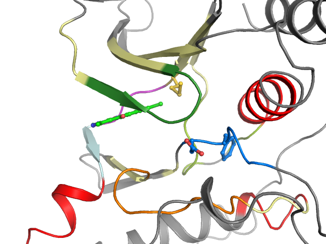 The orthosteric binding pocket