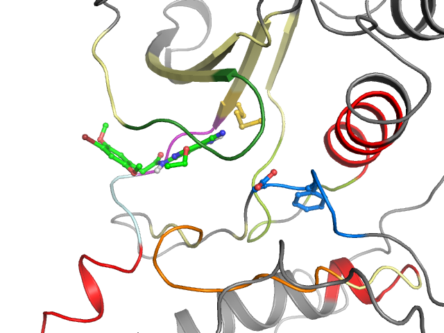 The orthosteric binding pocket