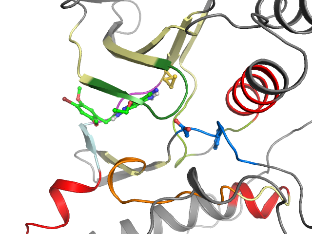 The orthosteric binding pocket