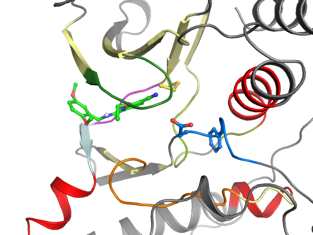The orthosteric binding pocket