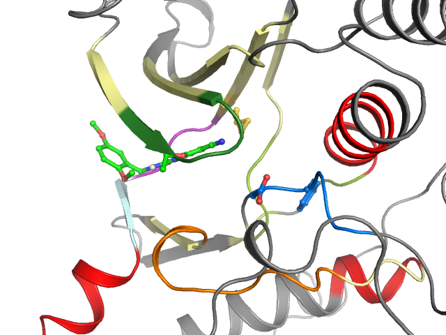 The orthosteric binding pocket