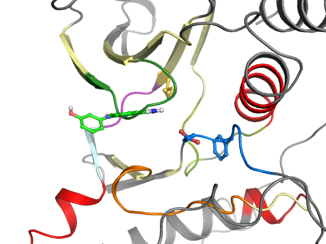 The orthosteric binding pocket
