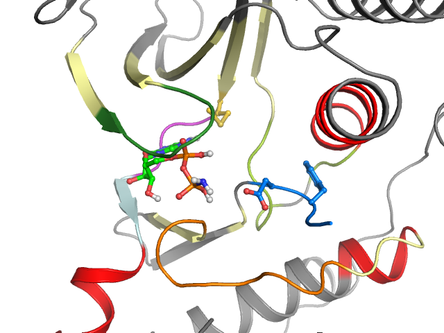 The orthosteric binding pocket