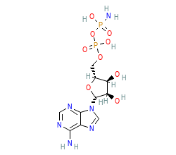 2D structure of the orthosteric ligand