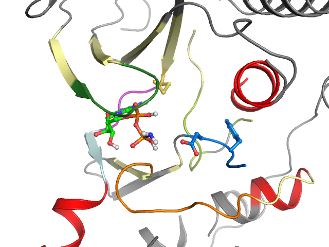 The orthosteric binding pocket