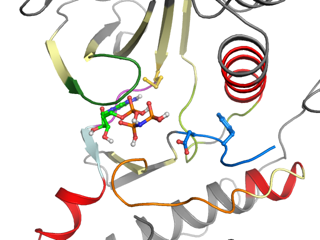 The orthosteric binding pocket
