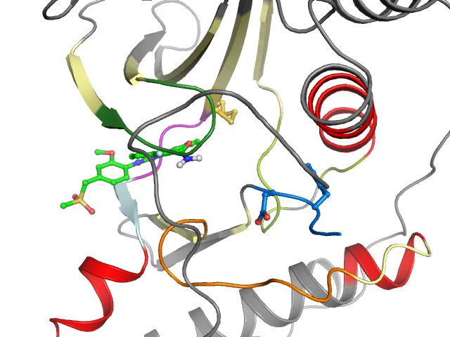 The orthosteric binding pocket