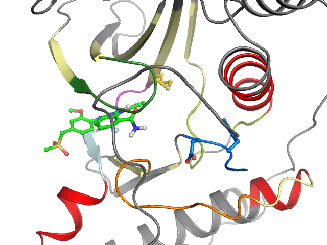 The orthosteric binding pocket
