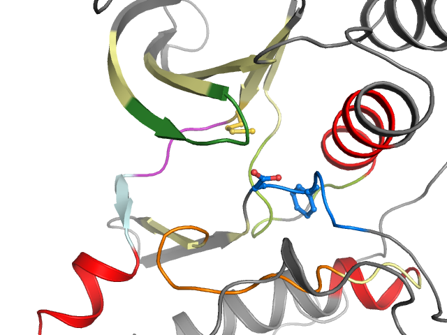 The orthosteric binding pocket